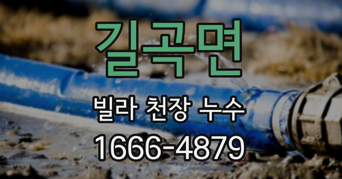 길곡면 빌라 천장 누수
