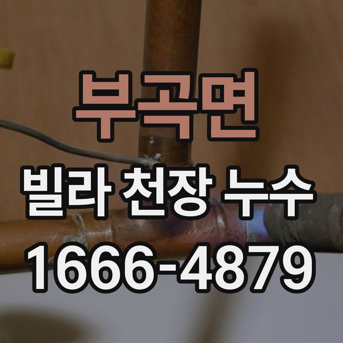 부곡면 빌라 천장 누수