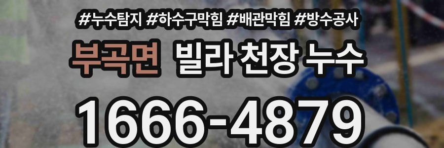부곡면 빌라 천장 누수