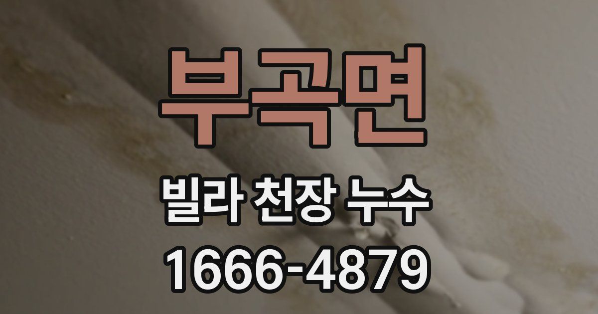 부곡면 빌라 천장 누수