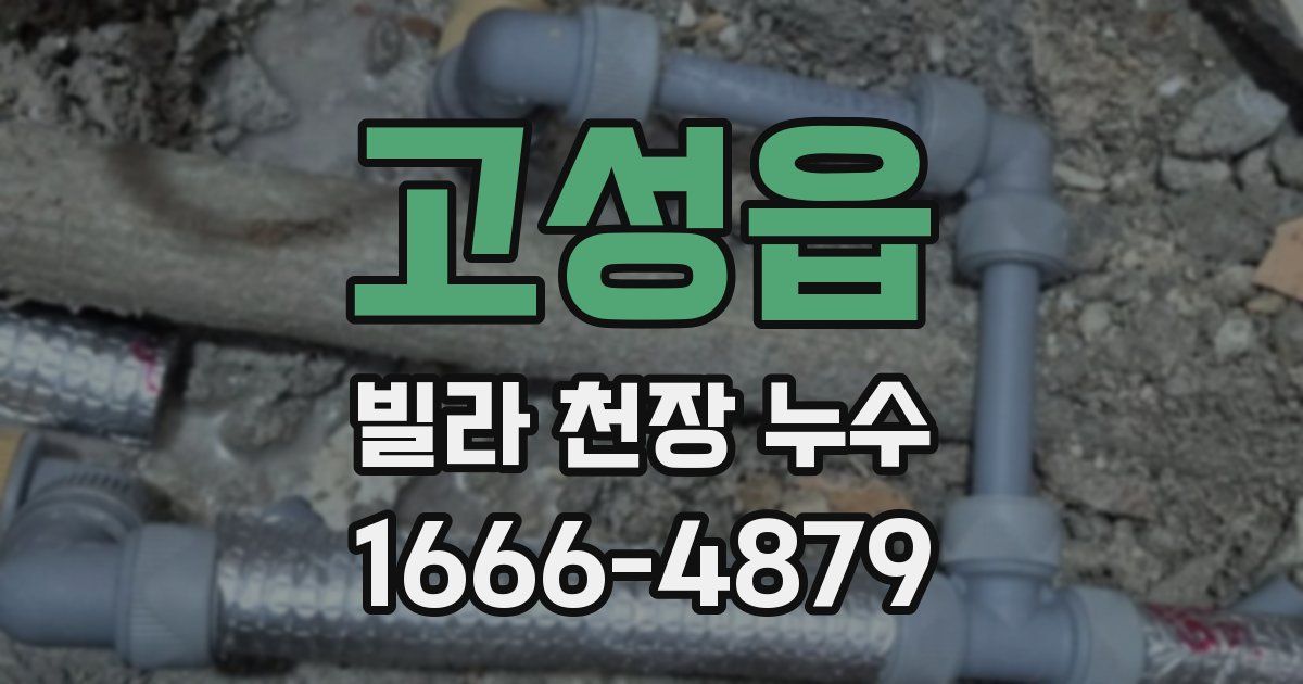 고성읍 빌라 천장 누수