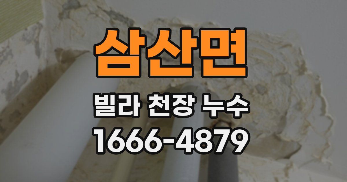 삼산면 빌라 천장 누수