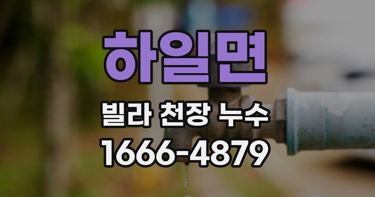 하일면 빌라 천장 누수