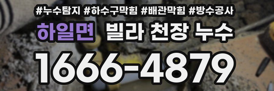 하일면 빌라 천장 누수