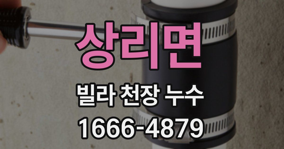 상리면 빌라 천장 누수