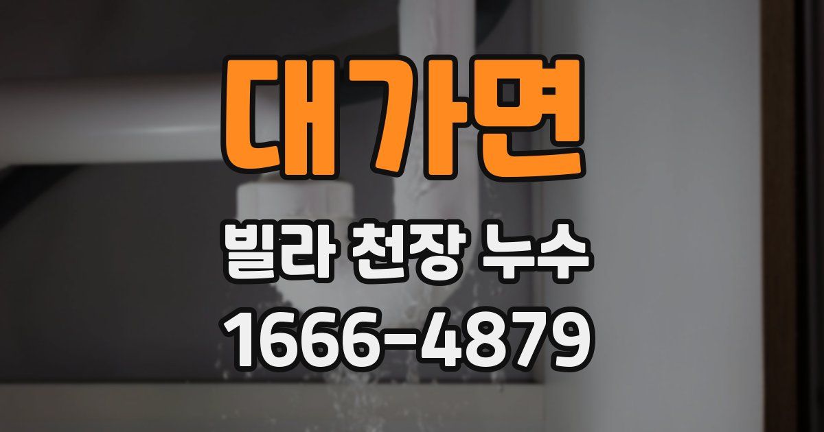 대가면 빌라 천장 누수