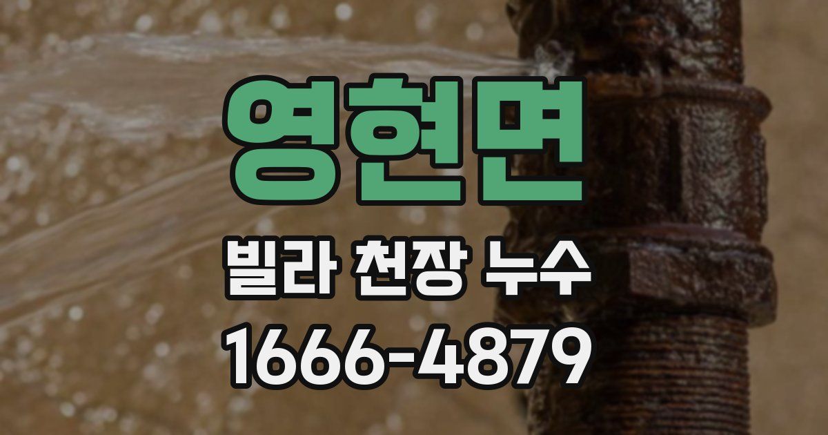 영현면 빌라 천장 누수
