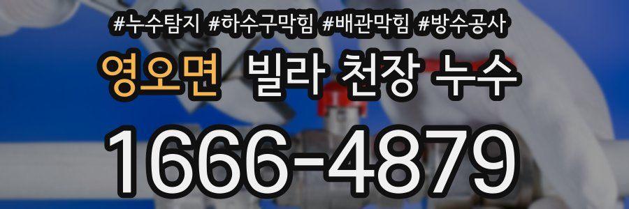 영오면 빌라 천장 누수