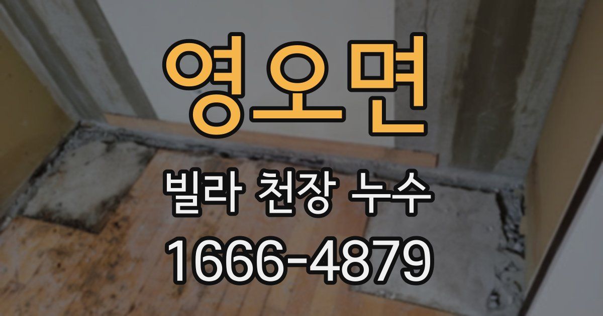 영오면 빌라 천장 누수