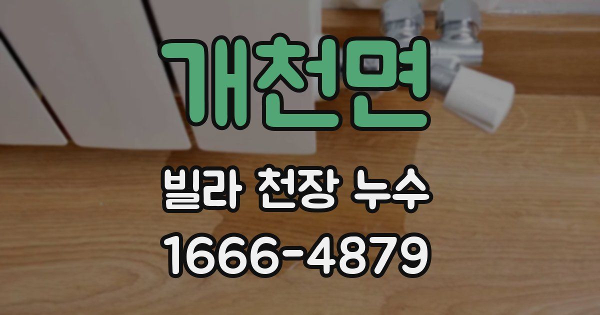 개천면 빌라 천장 누수
