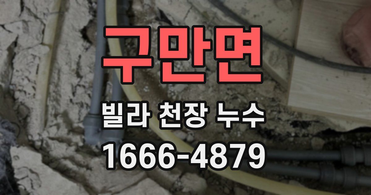 구만면 빌라 천장 누수
