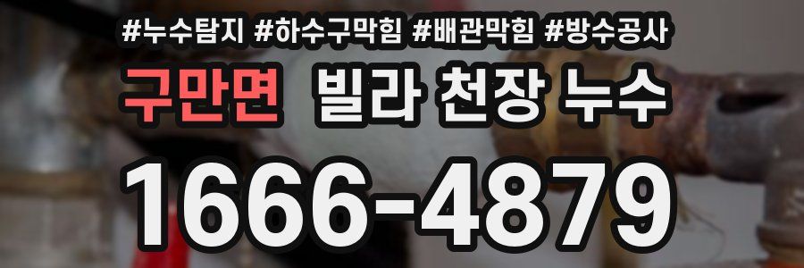 구만면 빌라 천장 누수