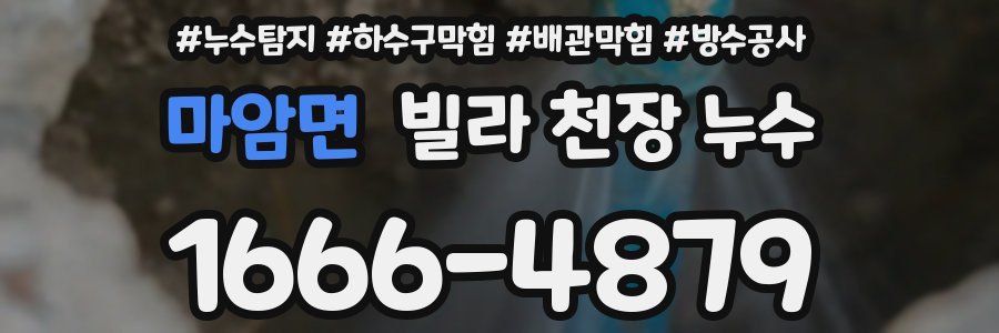 마암면 빌라 천장 누수