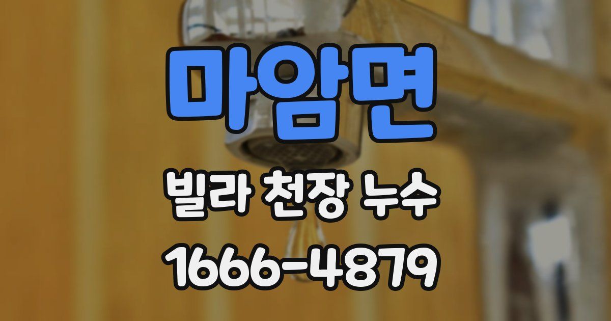 마암면 빌라 천장 누수
