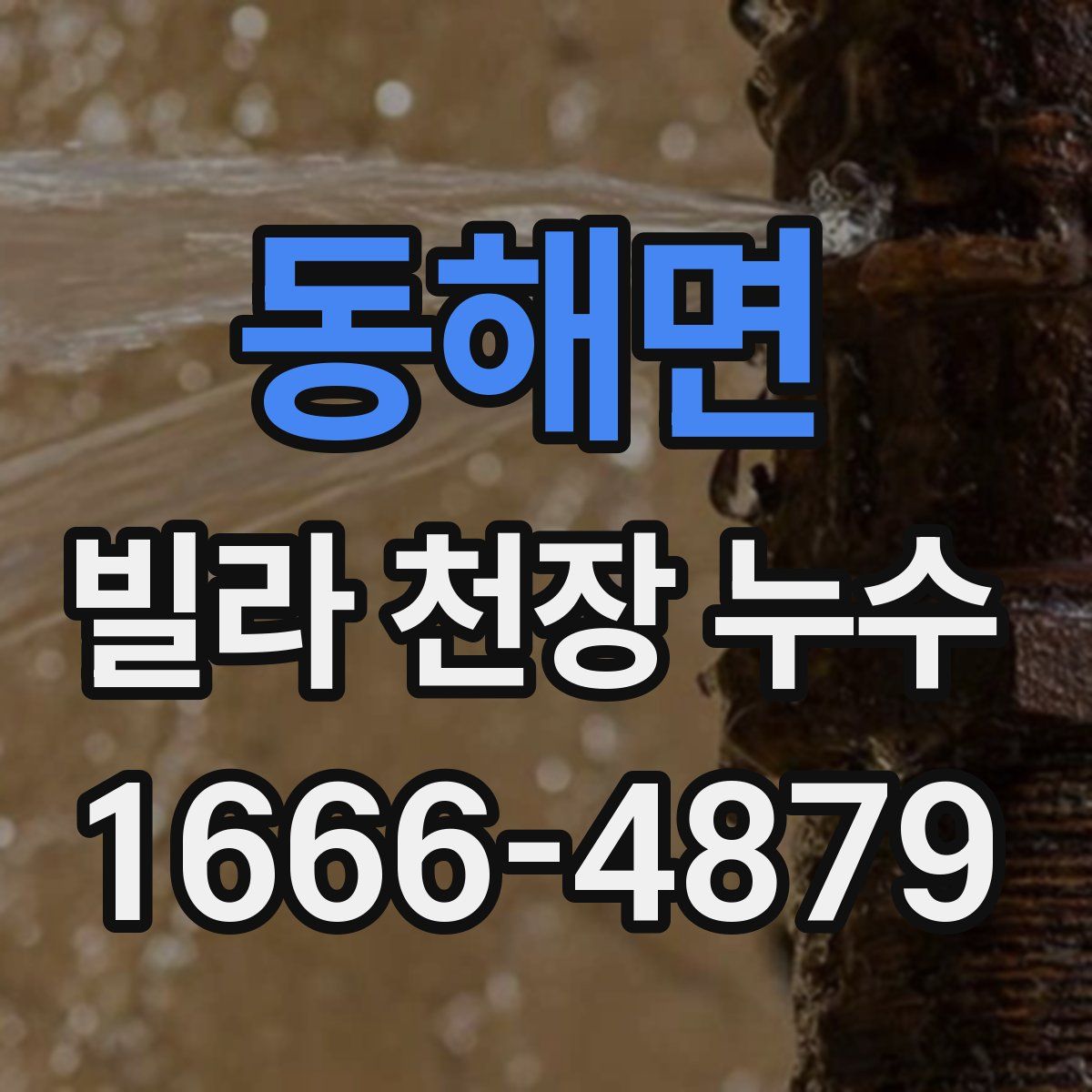 동해면 빌라 천장 누수