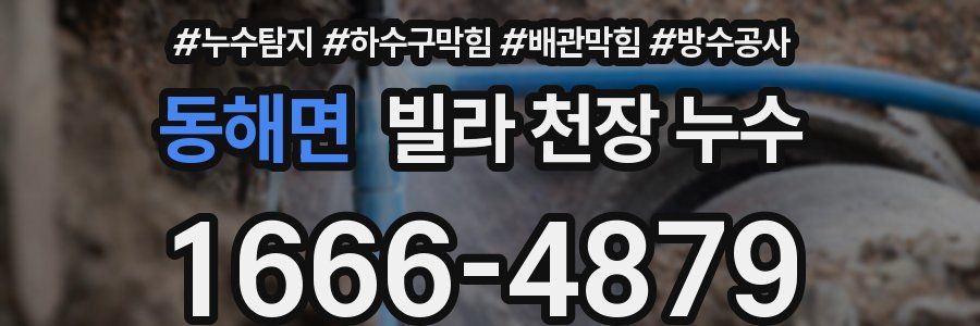 동해면 빌라 천장 누수