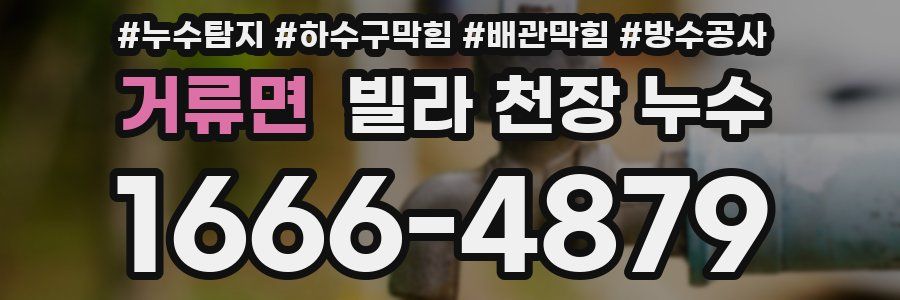 거류면 빌라 천장 누수