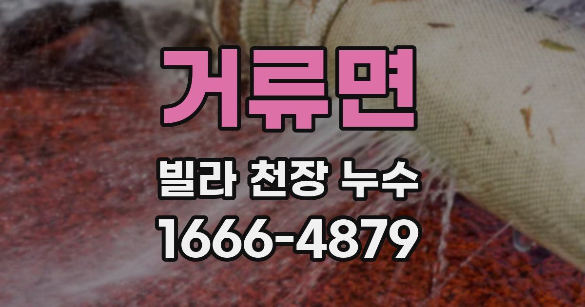 거류면 빌라 천장 누수