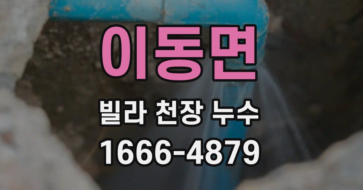 이동면 빌라 천장 누수