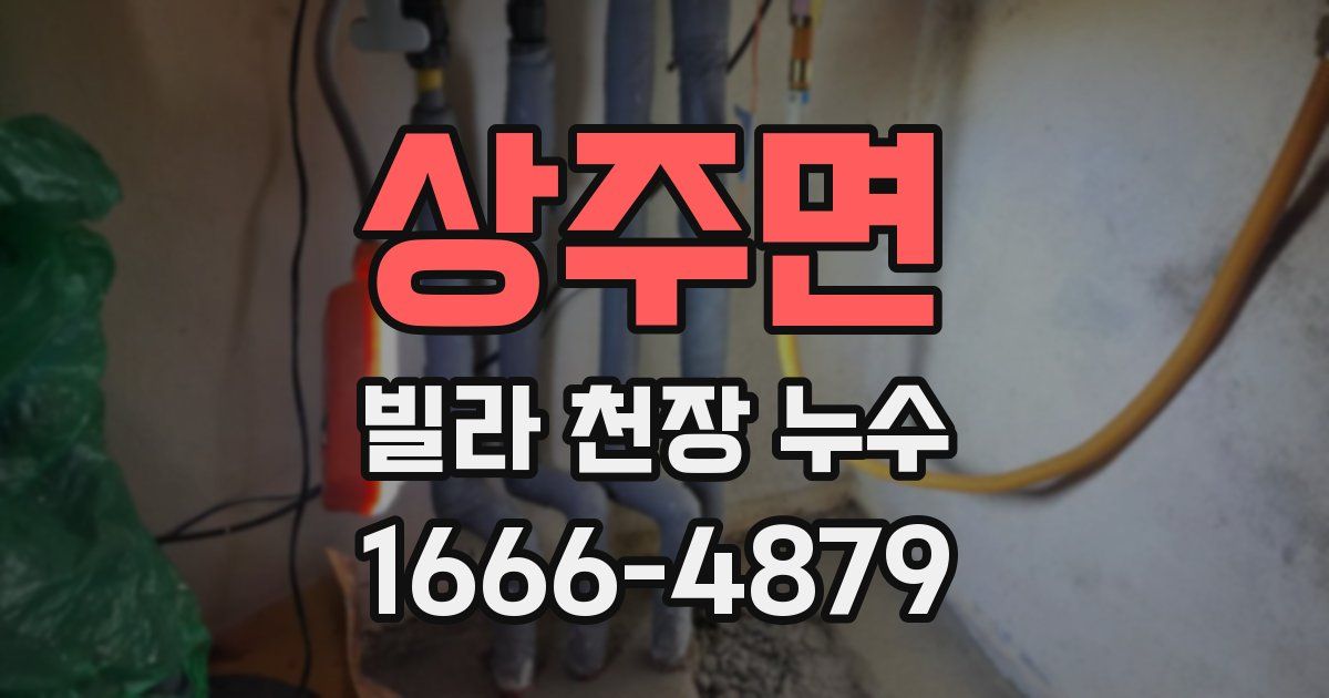 상주면 빌라 천장 누수