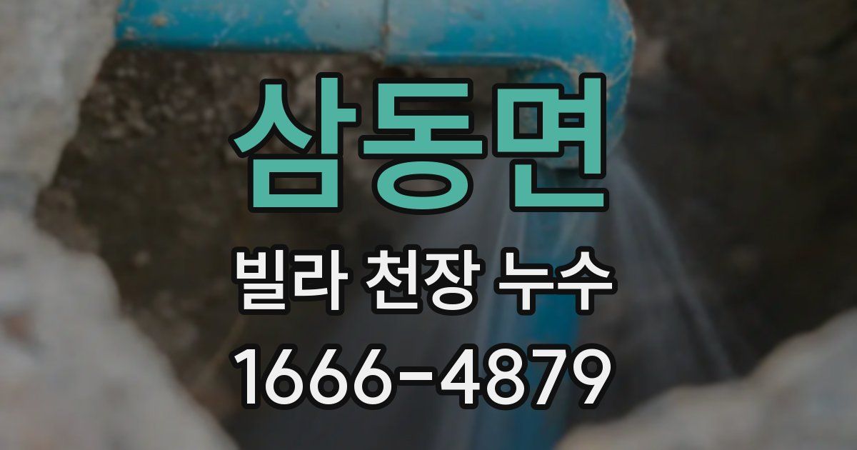 삼동면 빌라 천장 누수