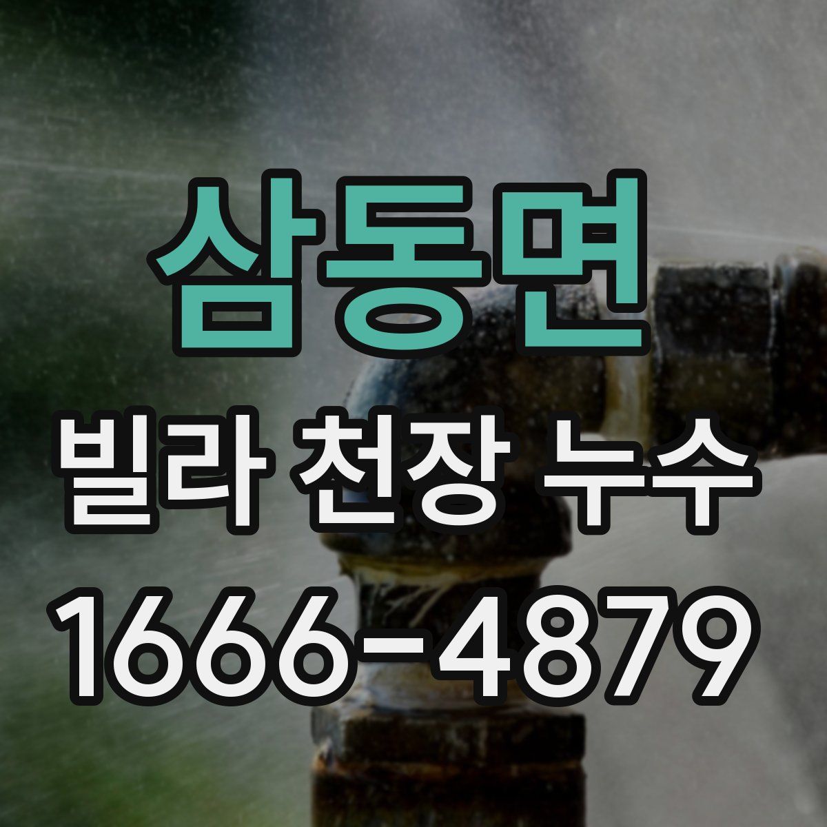 삼동면 빌라 천장 누수