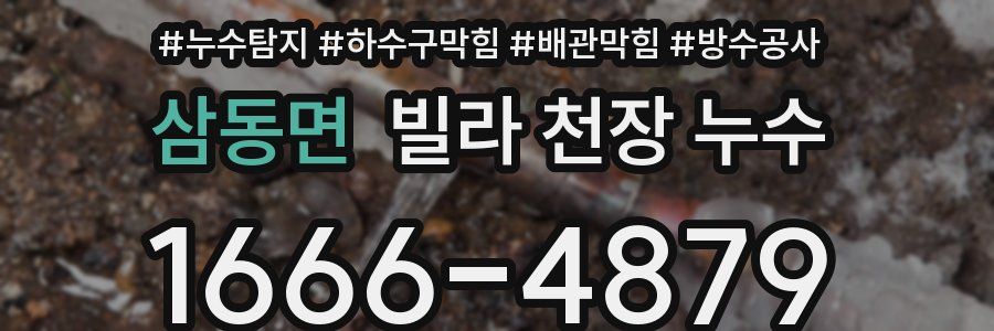 삼동면 빌라 천장 누수