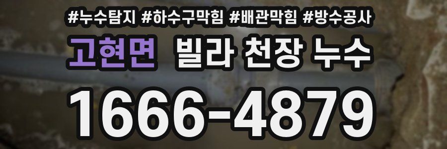 고현면 빌라 천장 누수