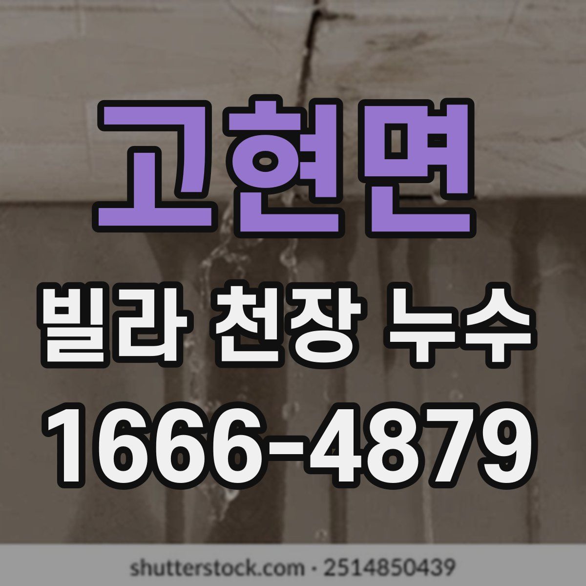 고현면 빌라 천장 누수