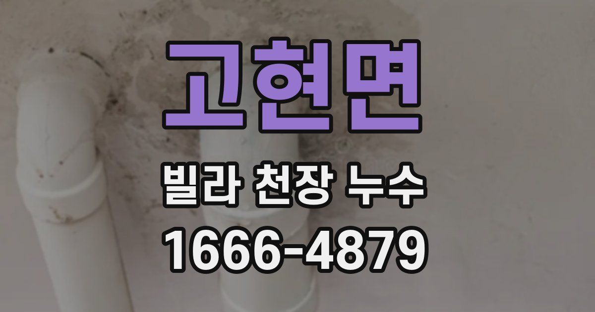 고현면 빌라 천장 누수