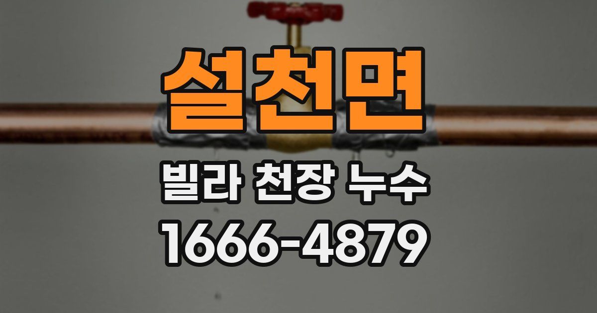 설천면 빌라 천장 누수