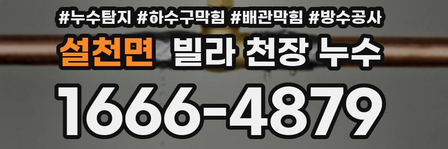 설천면 빌라 천장 누수