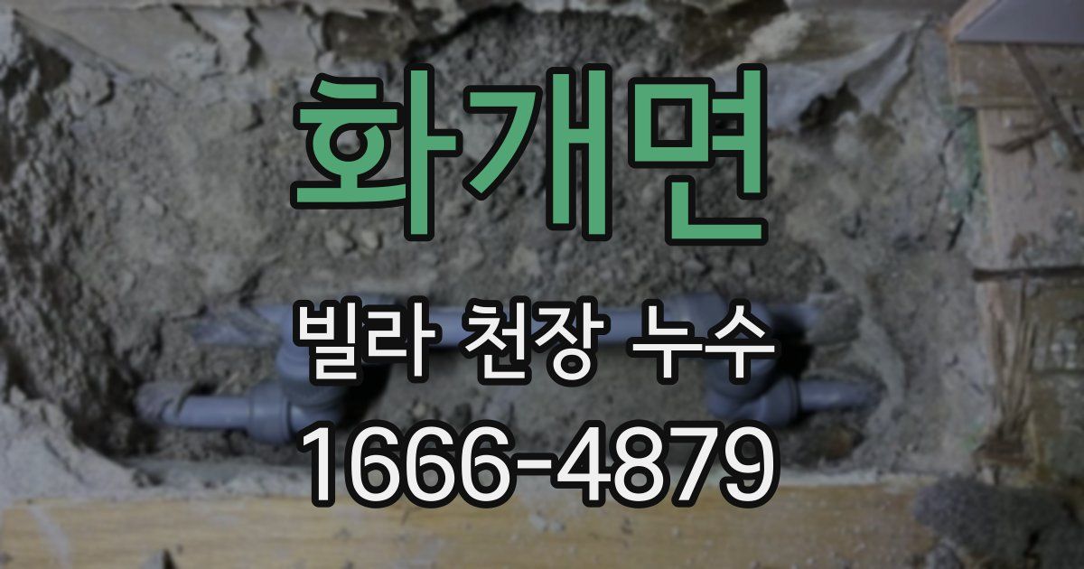 화개면 빌라 천장 누수