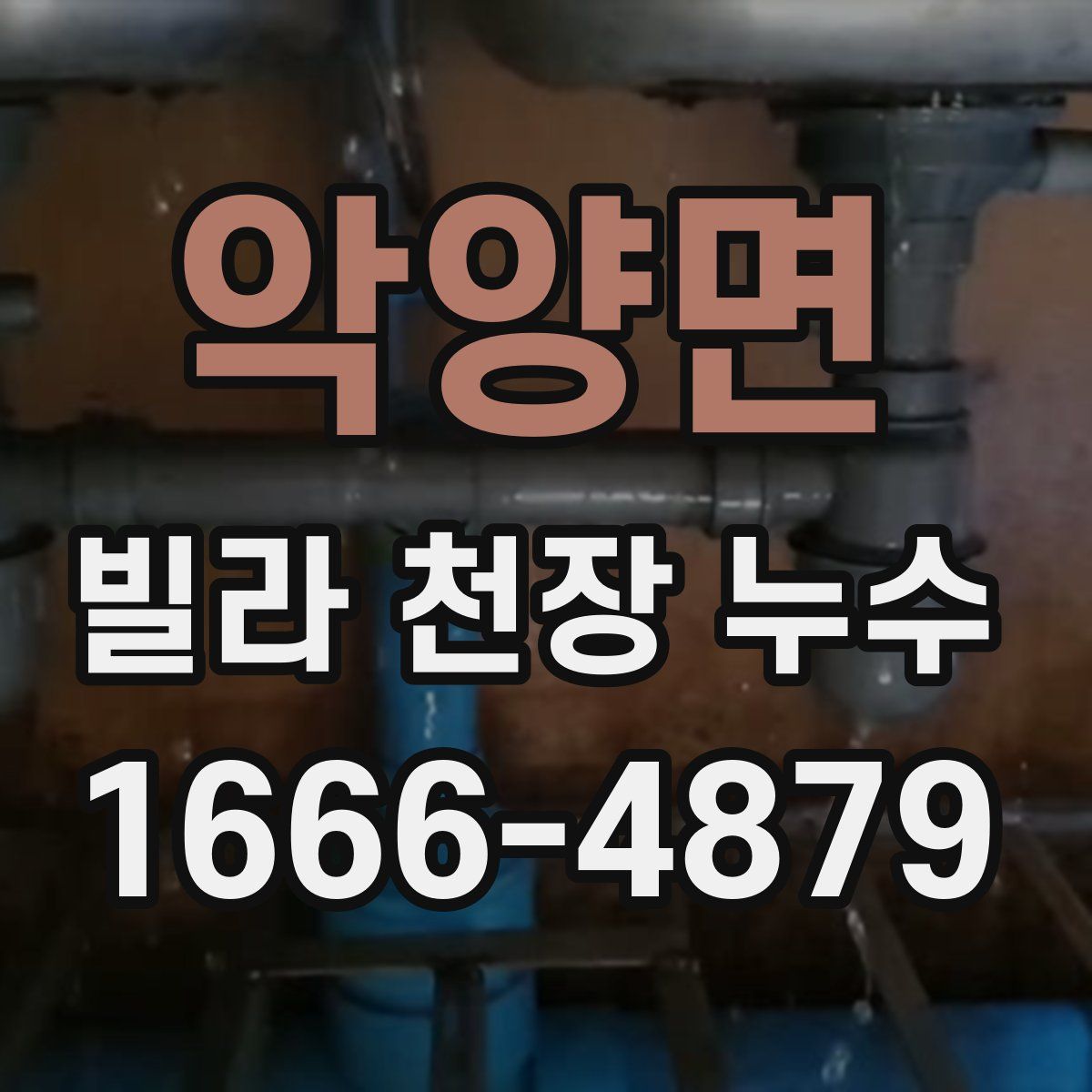 악양면 빌라 천장 누수