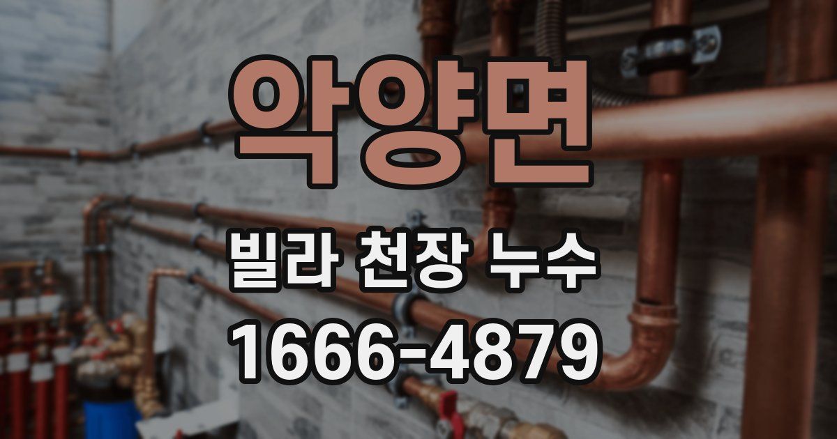 악양면 빌라 천장 누수