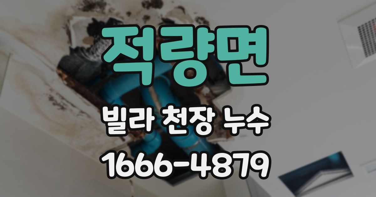 적량면 빌라 천장 누수