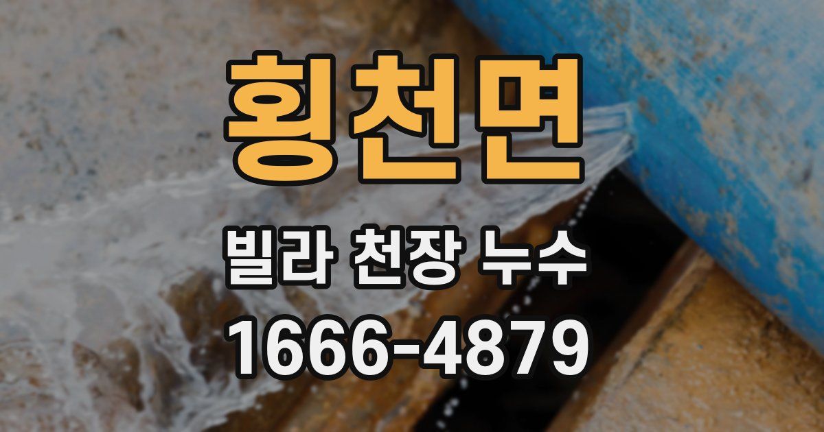 횡천면 빌라 천장 누수