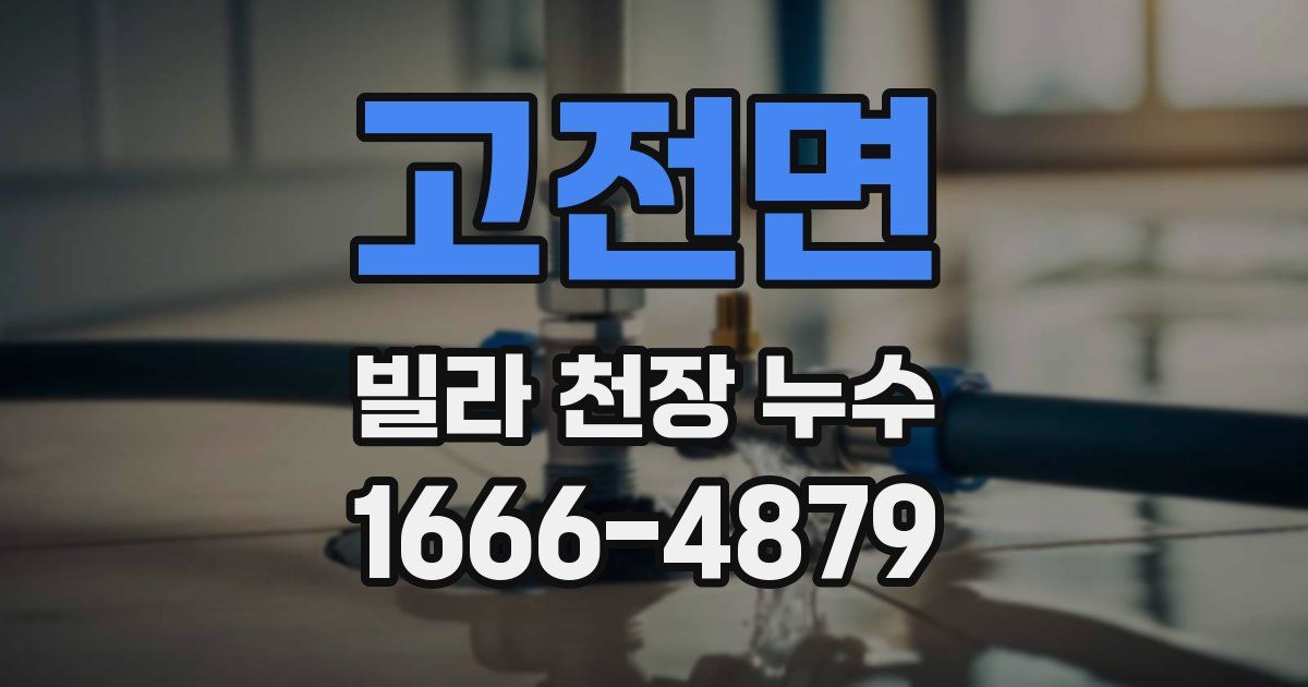 고전면 빌라 천장 누수