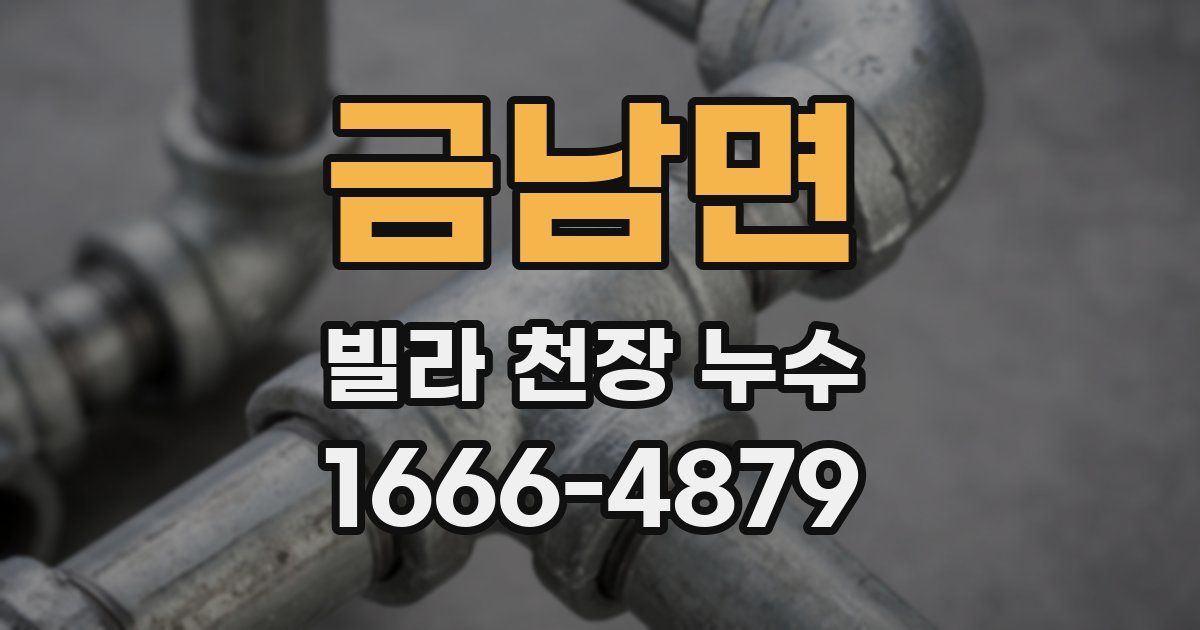 금남면 빌라 천장 누수