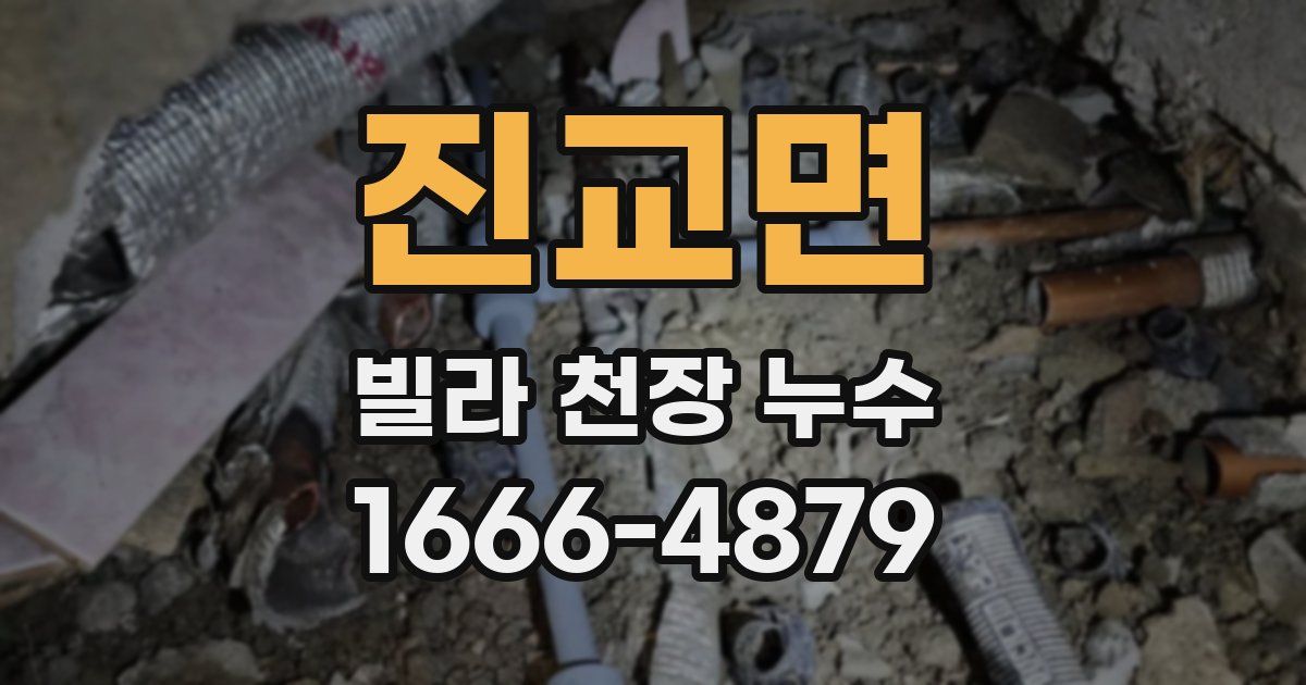 진교면 빌라 천장 누수
