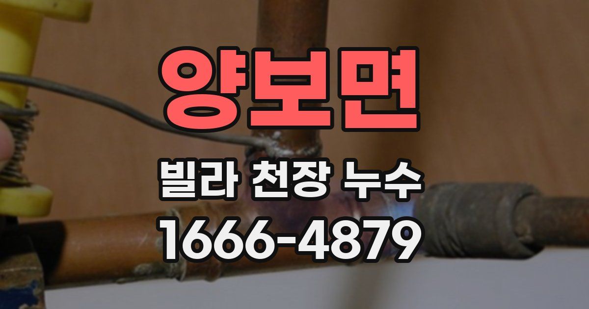 양보면 빌라 천장 누수