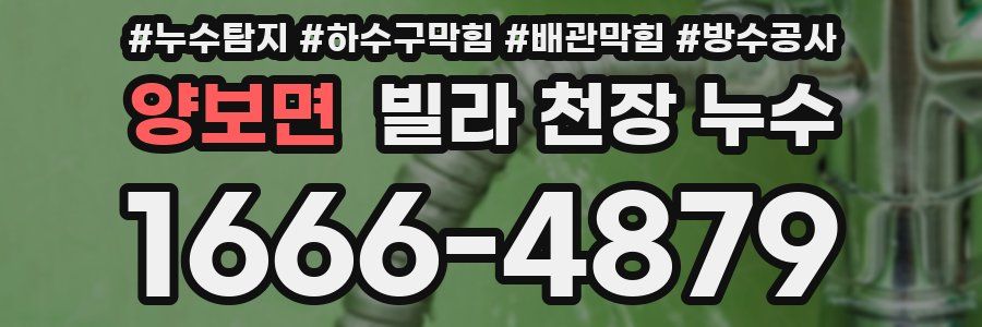 양보면 빌라 천장 누수