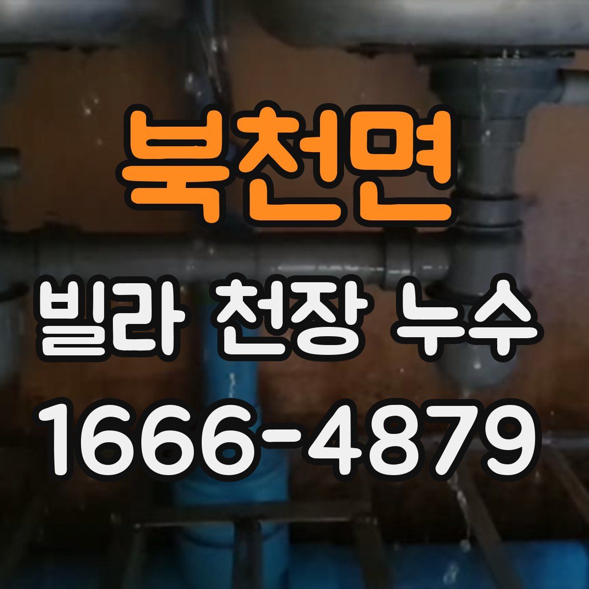북천면 빌라 천장 누수