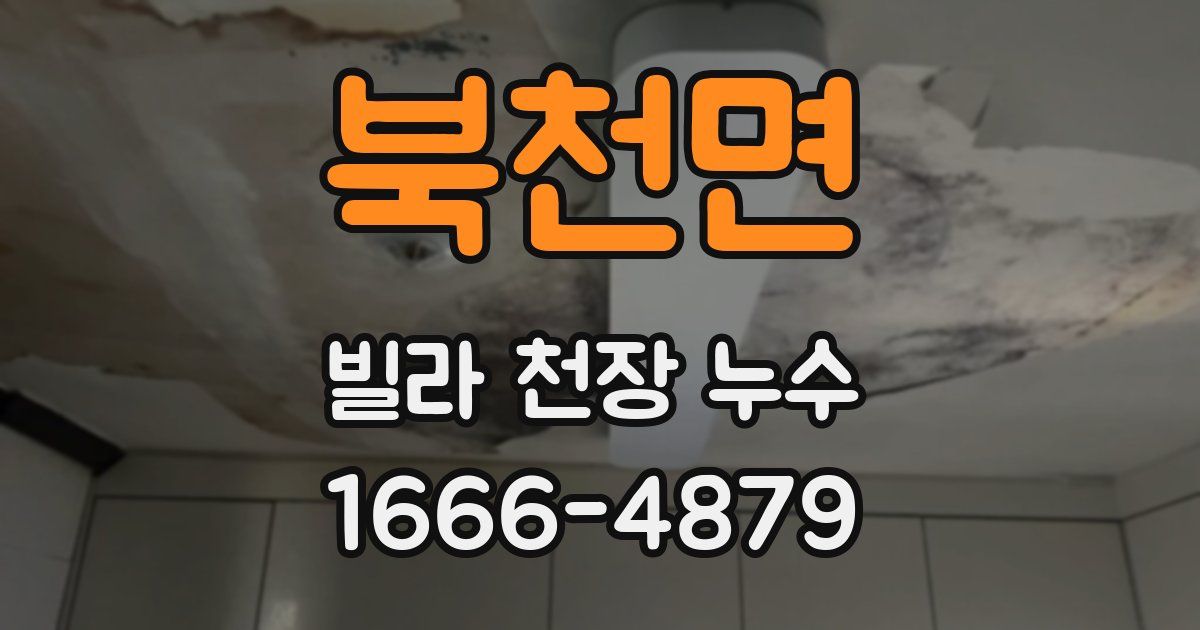 북천면 빌라 천장 누수