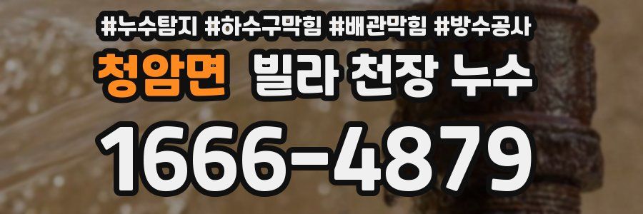 청암면 빌라 천장 누수