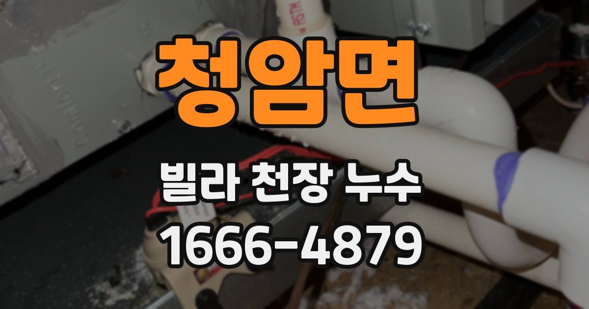 청암면 빌라 천장 누수