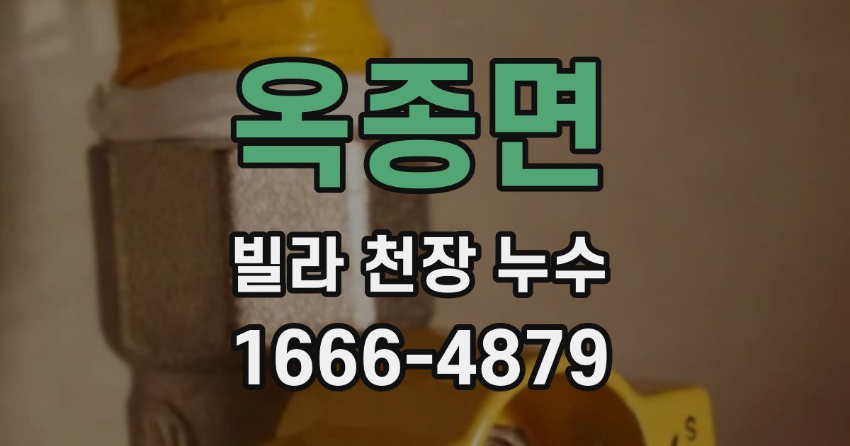 옥종면 빌라 천장 누수