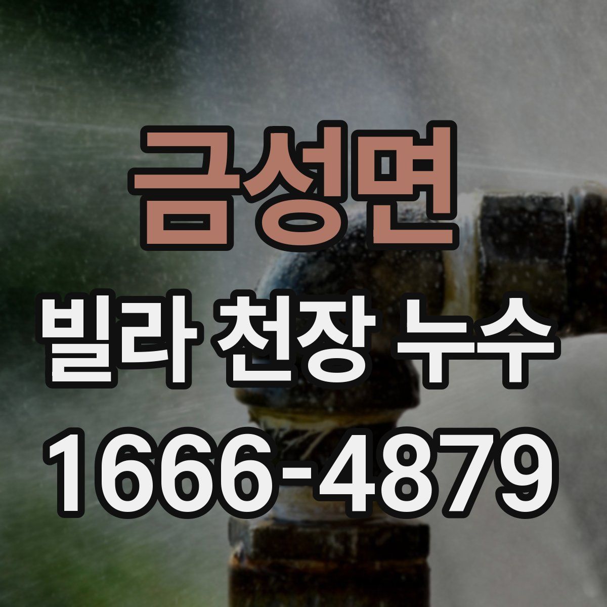 금성면 빌라 천장 누수