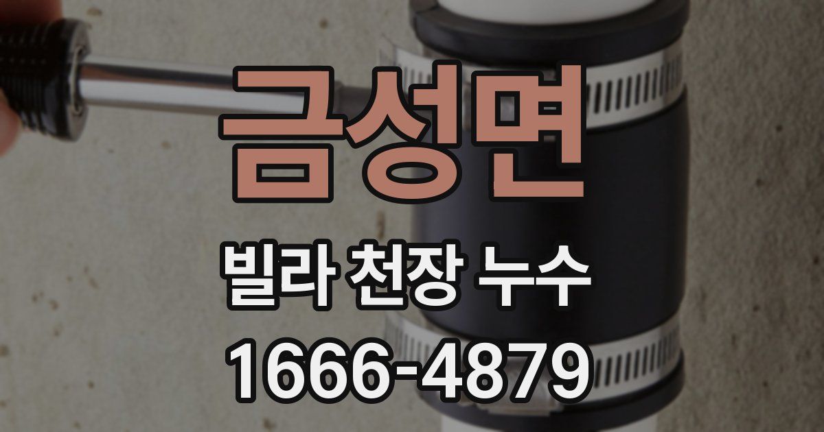 금성면 빌라 천장 누수