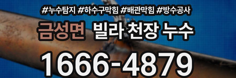 금성면 빌라 천장 누수
